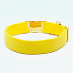 "Yellow" Collar