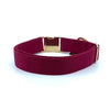 "Burgundy" Collar