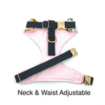 "Paws" Chest Harness