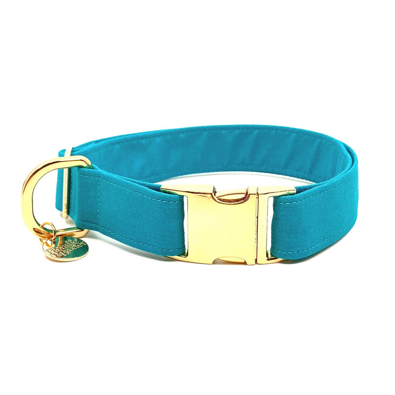 "Aqua" Collar