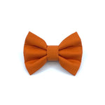 "Tumeric" Bow Tie / Sailor Bow