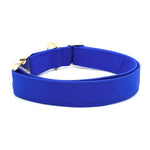 "Classic Blue" Collar