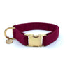 "Burgundy" Collar