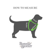 Percy :: Chest Harness